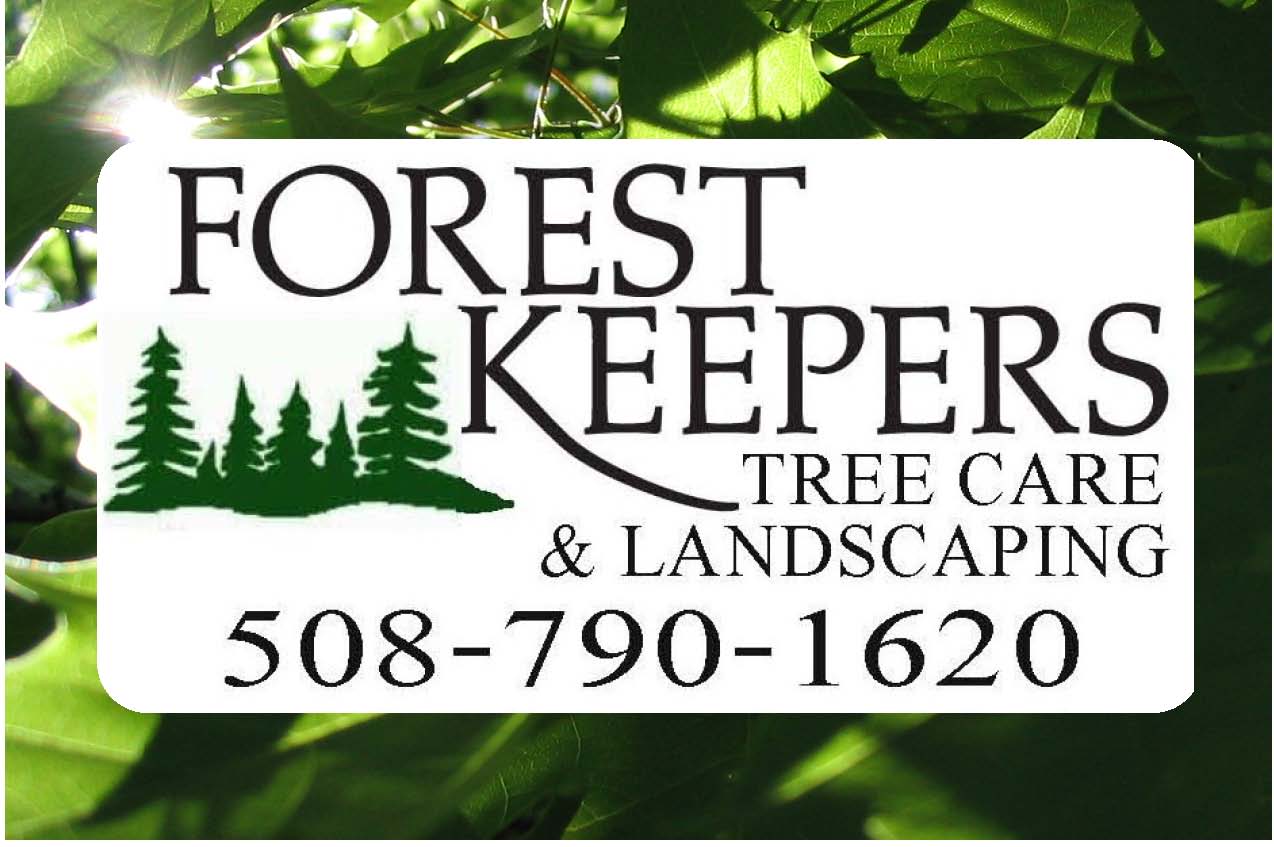 Forest Keepers Tree service logo Cape Cod Tree Service