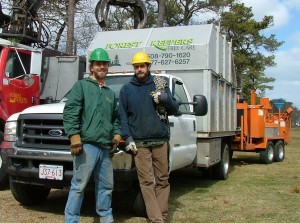 Chatham tree service professionals