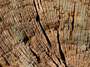 willi t matter at all if I change this?