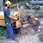 Stump grinding in Barnstable MA