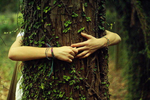 tree-hugger
