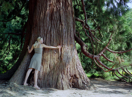 woman hugging tree